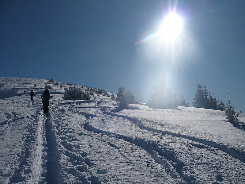 #5 vers le sommet : quelques randonneurs vers le sommet : quelques randonneurs