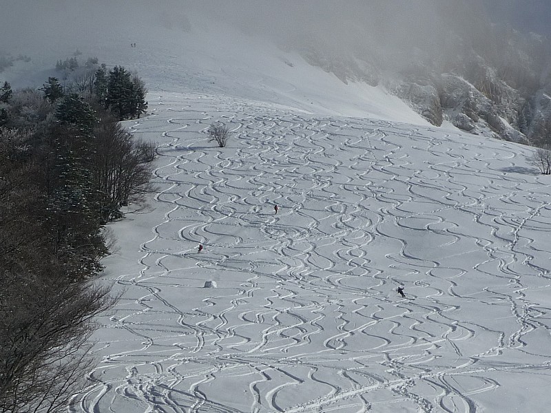 #1 Pas une trace :) : Pas une trace, pente totalement vierge :) ! Pas une trace :) : Pas une trace, pente totalement vierge :) !