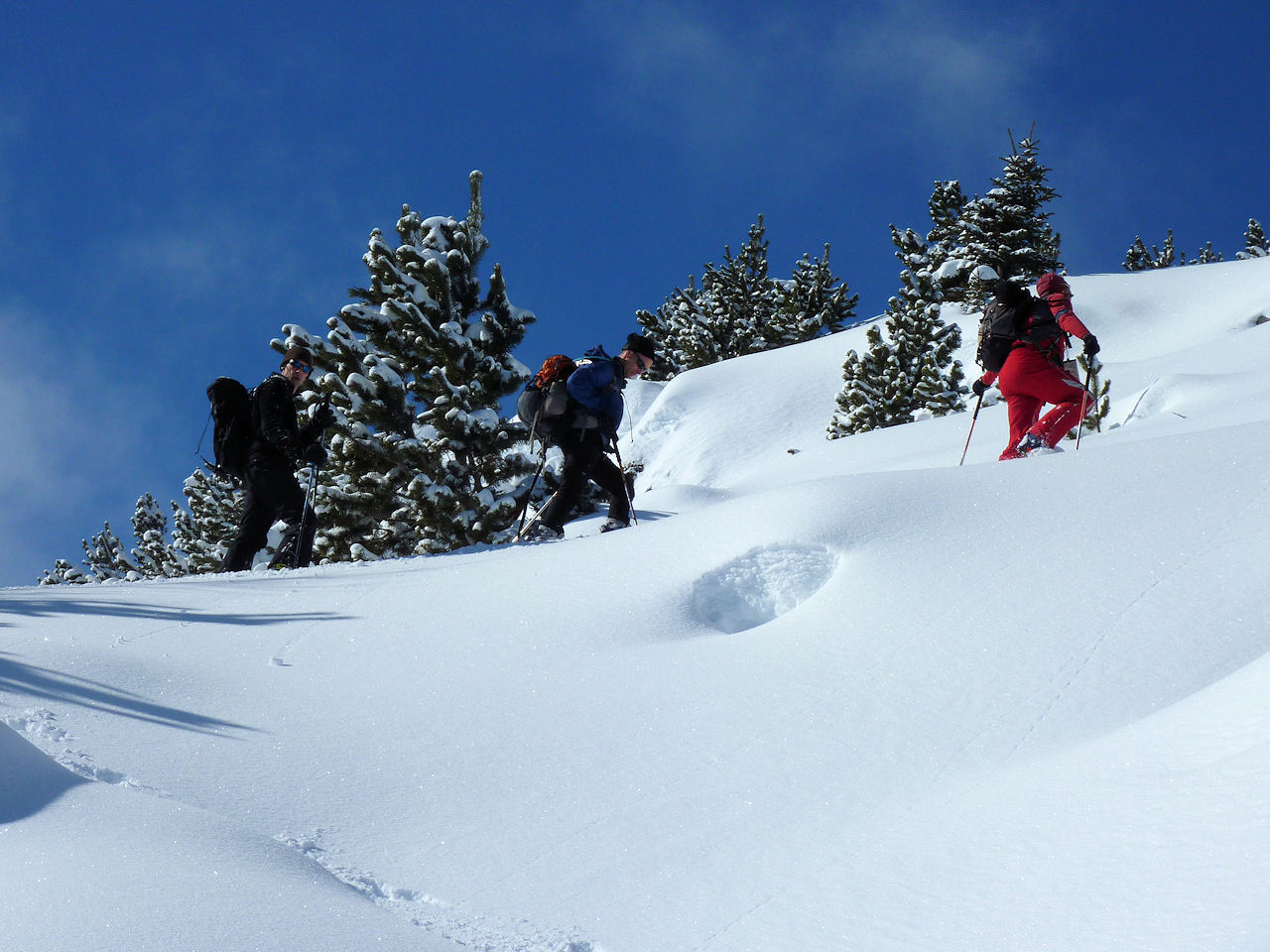 #1 Première montée. : Après la route, dans les pentes au dessus de la cabane Première montée. : Après la route, dans les pentes au dessus de la cabane