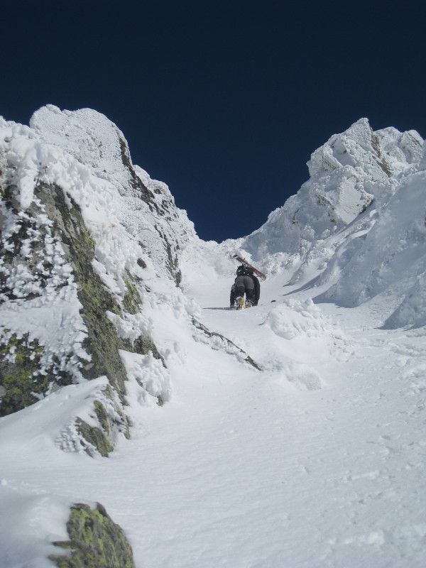 #8 Juju : à l Juju : à l'attaque