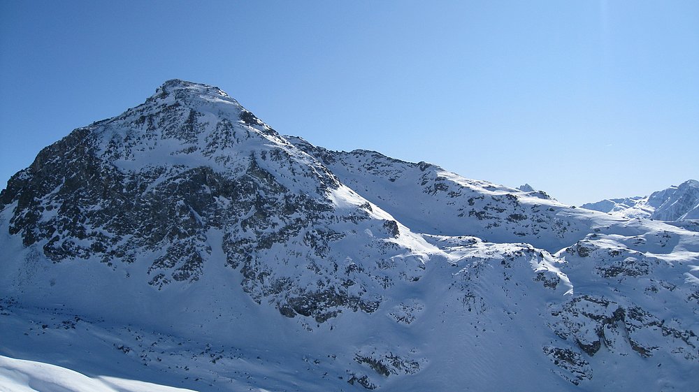 #18 Tête du pelvas : déplumée Tête du pelvas : déplumée