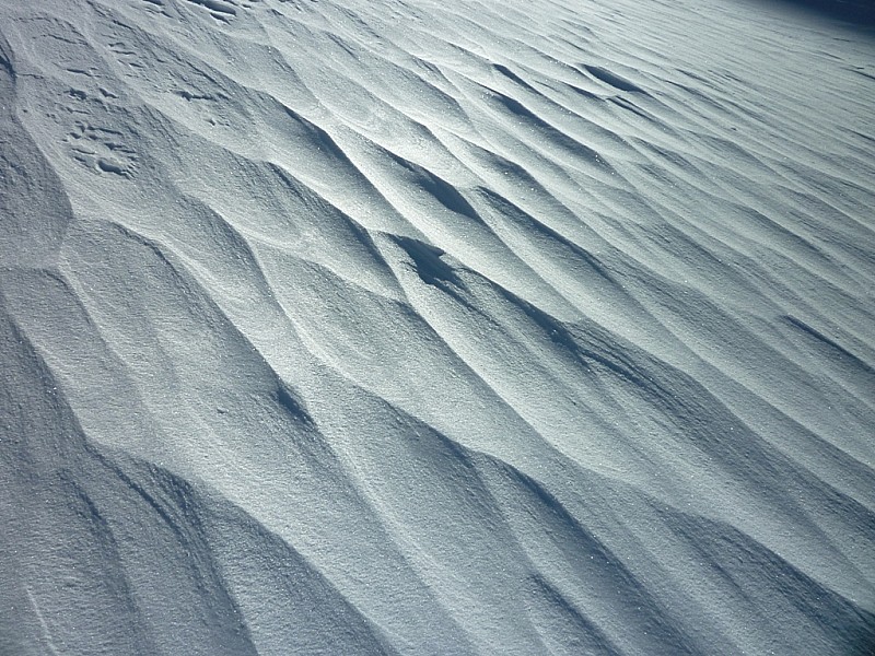 #3 Formes : The answer my friend, is blowing in the wind ... Formes : The answer my friend, is blowing in the wind ...