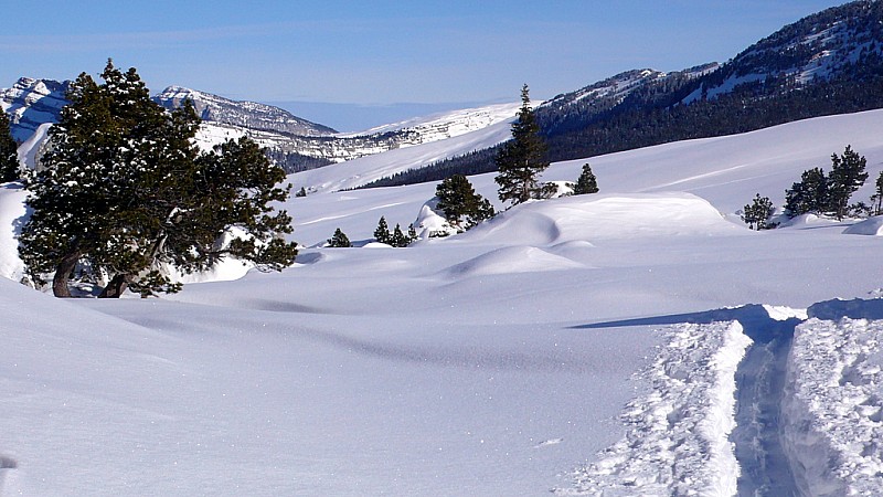 #1 Vallon de Marcieu : Une belle sérénité dans ce vallon en ce lundi matin bien calme. Vallon de Marcieu : Une belle sérénité dans ce vallon en ce lundi matin bien calme.