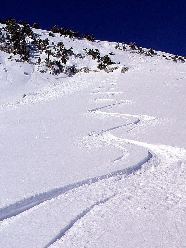 #2 1ère descente : C 1ère descente : C'est si bon que je repars pour les Lances (pointe Nord)