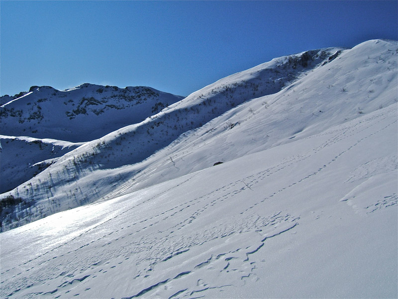 #2 Baussetti : Enfin le sommet apparaît avec la belle pente que l Baussetti : Enfin le sommet apparaît avec la belle pente que l'on va descendre.