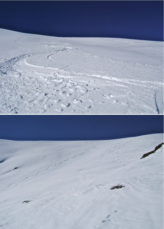 #8 Baussetti : Un régal!! Baussetti : Un régal!!