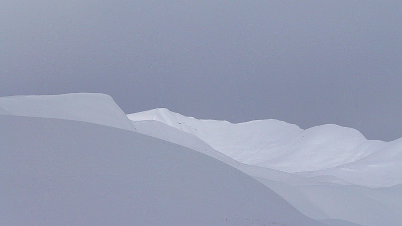 #1 desert blanc : mystère... desert blanc : mystère...