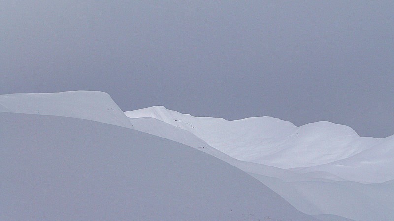 desert blanc : mystère...