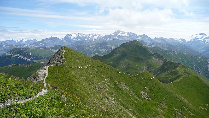 #3 en été : c en été : c'est vert !
