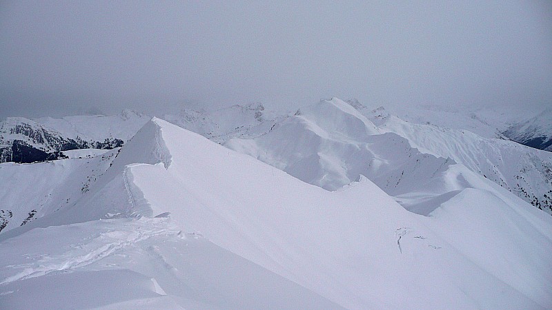 #2 en hiver : c en hiver : c'est blanc !