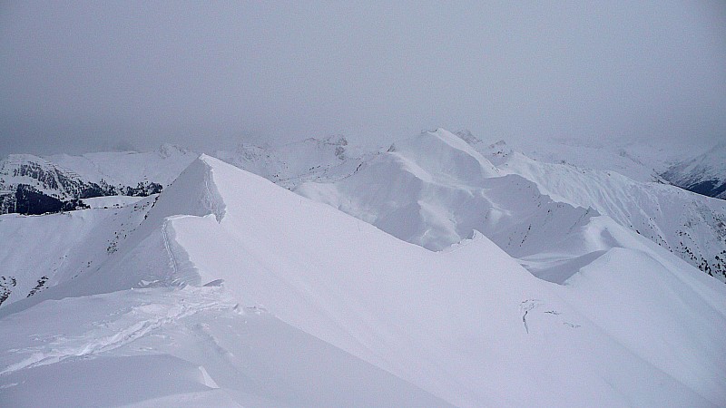 en hiver : c'est blanc !