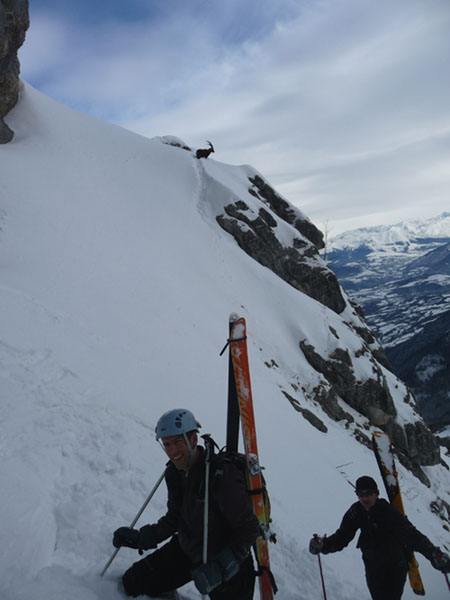 #7 Les chamois du jour : Les chamois et "bouquetin" du jour Les chamois du jour : Les chamois et "bouquetin" du jour