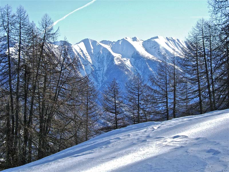 #4 Burenta : Vue sur la crête de la Cime de Méné au Mt Sauveur. Burenta : Vue sur la crête de la Cime de Méné au Mt Sauveur.