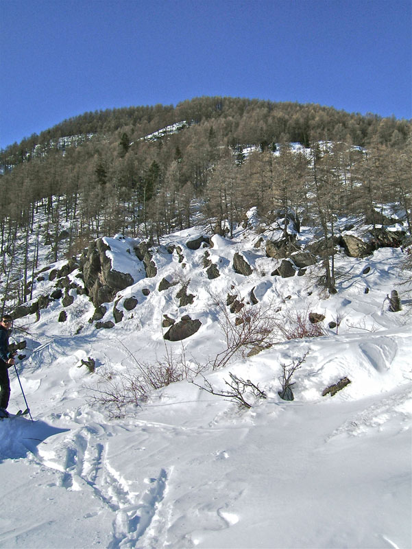 #3 Burenta : La croupe boisée à remonter du replat de Lausa Bruna. Burenta : La croupe boisée à remonter du replat de Lausa Bruna.