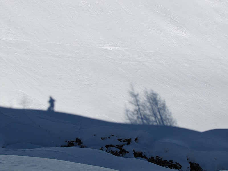 #5 Jeux d Jeux d'ombres