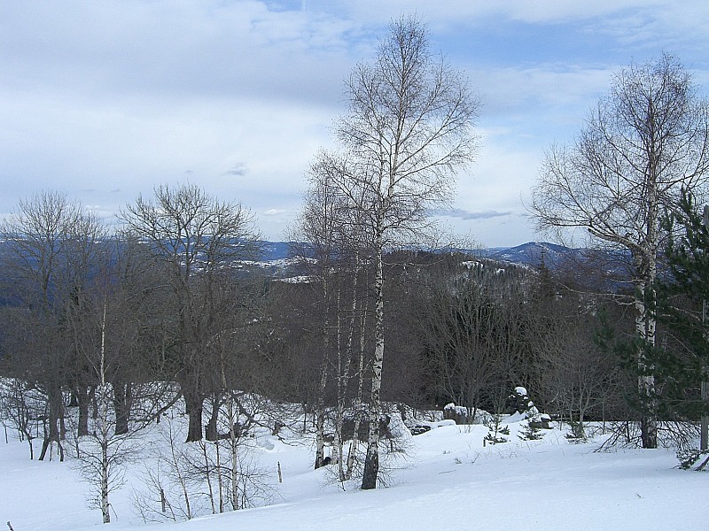 #1 Ruines : Les Sucheyres Ruines : Les Sucheyres