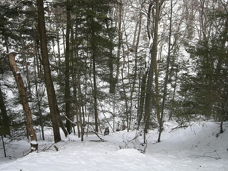 #2 Forêt dense : Direction le Gouffre de l Forêt dense : Direction le Gouffre de l'Enfer