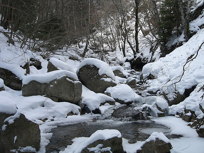 #3 Ruisseau de Lufernet : Il faut le longer un peu Ruisseau de Lufernet : Il faut le longer un peu
