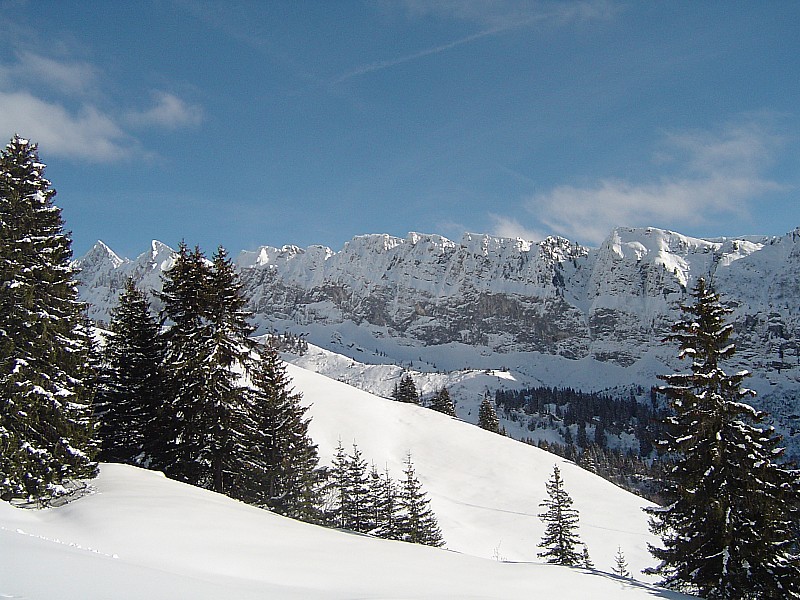 #1 03 02 10 : Paysage agréable avec le soleil !... 03 02 10 : Paysage agréable avec le soleil !...