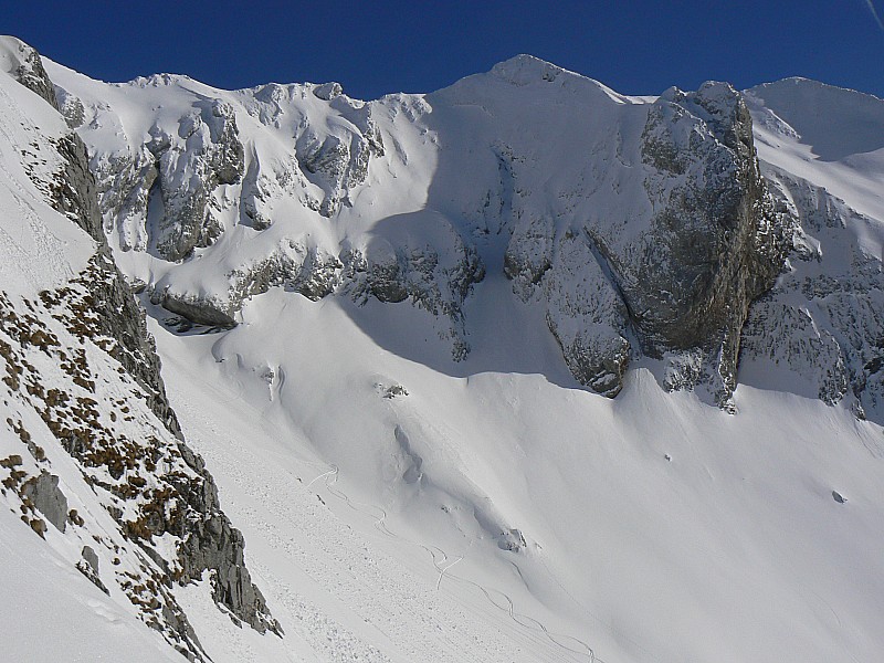 #14 L L'Etale : joli cirque sauvage