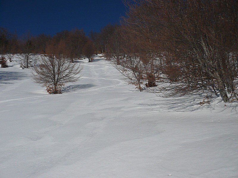 #2 Enfin de la bonne neige : Quelques virages sympas, je commençait à regretter le matériel de rando... Enfin de la bonne neige : Quelques virages sympas, je commençait à regretter le matériel de rando...