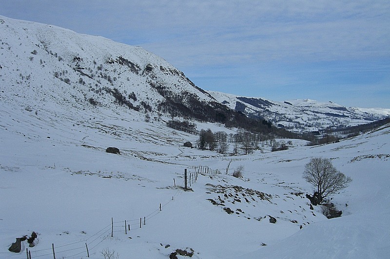 #2 Vallée de la Santoire : Au fond près du ruisseau Vallée de la Santoire : Au fond près du ruisseau