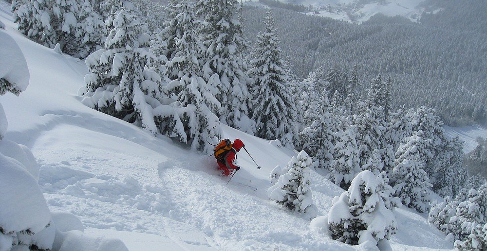 #6 Delle Delle