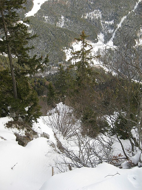 sauter petites barres_forêt : délicat car a la réception du saut il y a beaucoup d'arbres ...ski courts, courage et ténacité utiles !