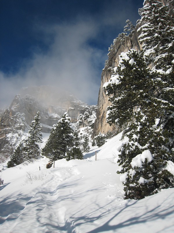 #2 Arrivée au cirque : Toujours beau Arrivée au cirque : Toujours beau