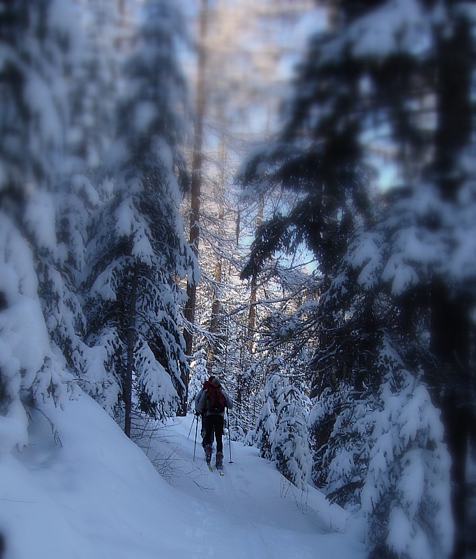 #7 Grand nord Grand nord