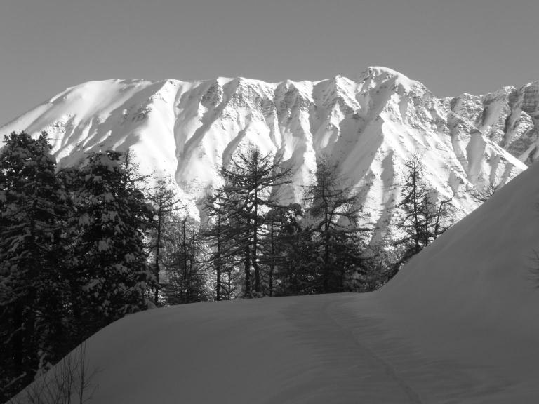 #2 Meale : Beau point de vue Meale : Beau point de vue