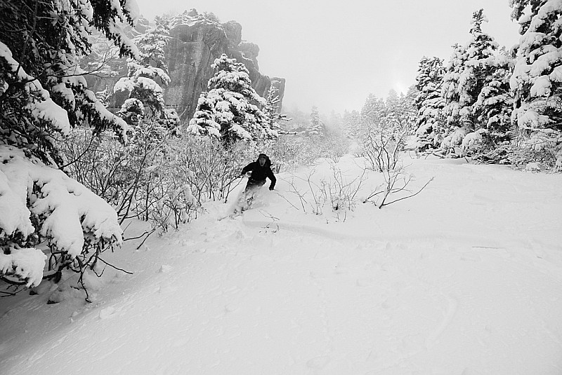 #6 Poudre : superbe neige, avec seulement 2 traces devant nous Poudre : superbe neige, avec seulement 2 traces devant nous