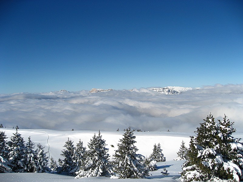#2 Dent de Crolles : sous la mer. Voila pourquoi nous sommes sorties de notre Chartreuse Dent de Crolles : sous la mer. Voila pourquoi nous sommes sorties de notre Chartreuse