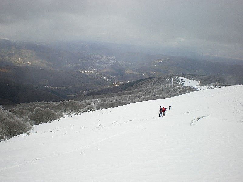 #2 Montée sous le col de Rieutort : Sortie du bois sous le col de Rieutort à l Montée sous le col de Rieutort : Sortie du bois sous le col de Rieutort à l'écart de la voie normale. Au fond Foix