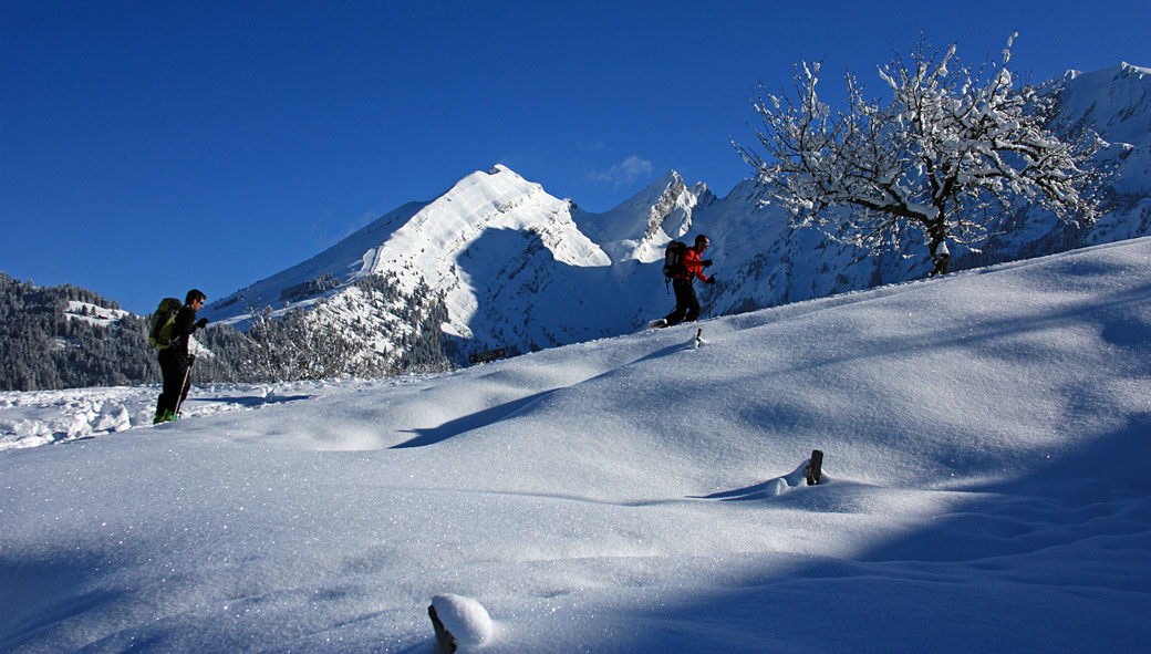 Orsière : Montée bucolique vers Orcière.