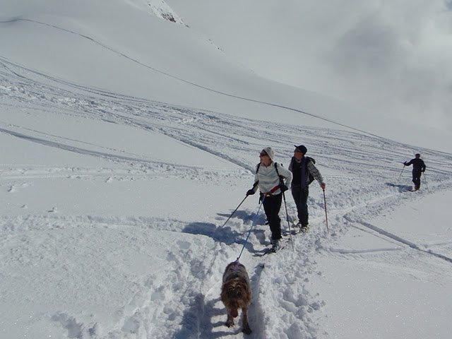 #1 ski canin : Bonne maman et hubert ski canin : Bonne maman et hubert