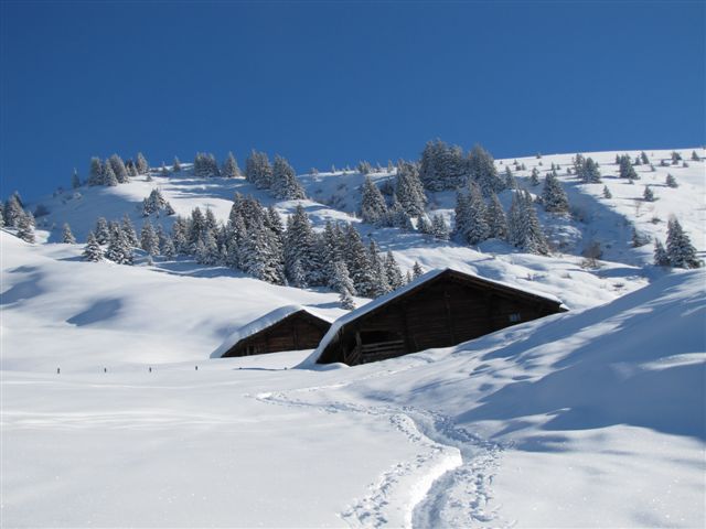 #3 chalet de la Commanderie : enfin le soleil! chalet de la Commanderie : enfin le soleil!