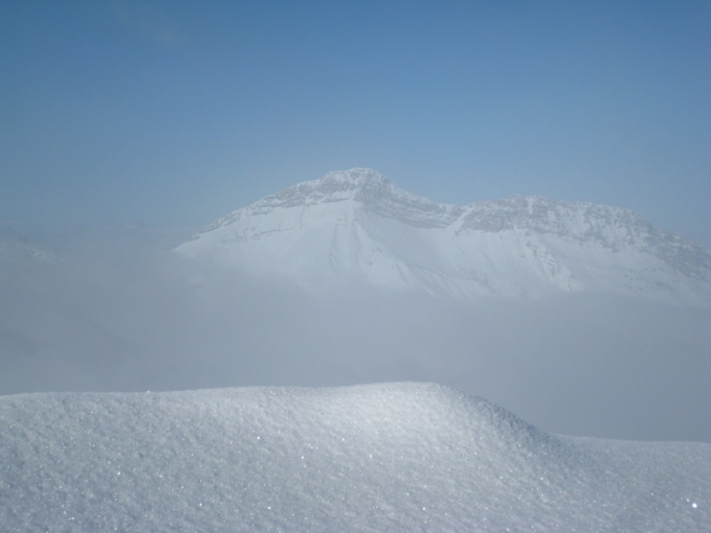 #4 Mont... : Colombier Mont... : Colombier