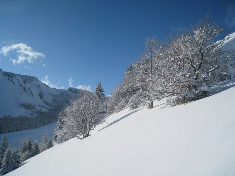 #1 Combe aux Chevaux : dans la montée à la Combe aux Chevaux. Combe aux Chevaux : dans la montée à la Combe aux Chevaux.