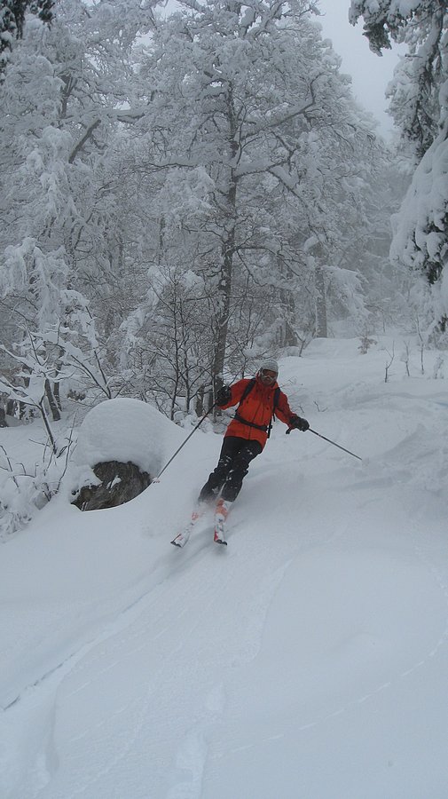 #5 Sous la clairière : Bien skiant Sous la clairière : Bien skiant