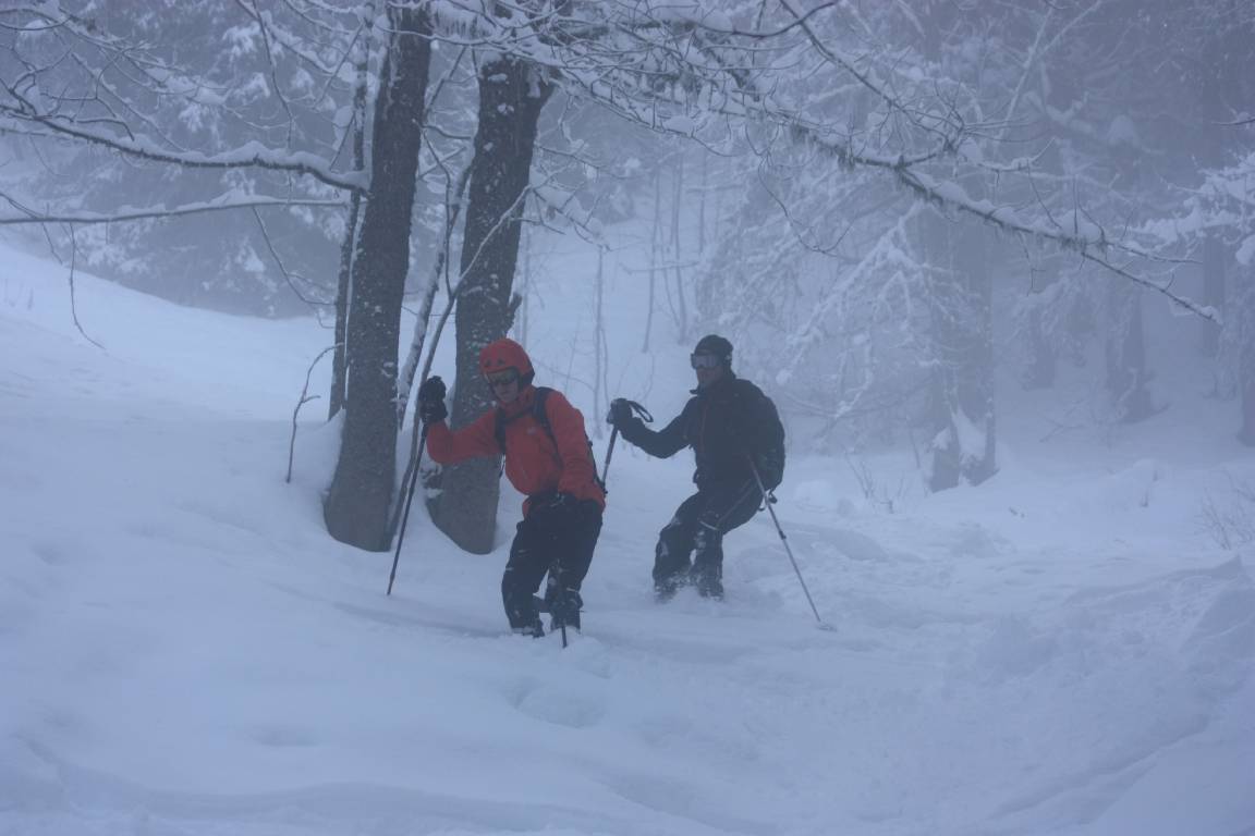 #5 descente3 : Ambiance Robin des bois ! descente3 : Ambiance Robin des bois !