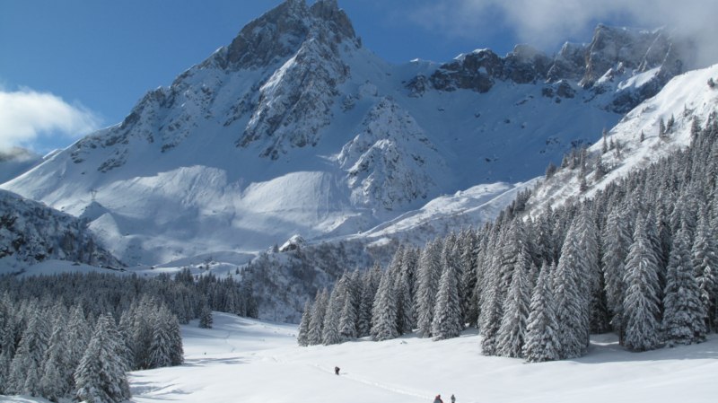 #2 La journée s La journée s'annonce belle : De la neige fraîche partout