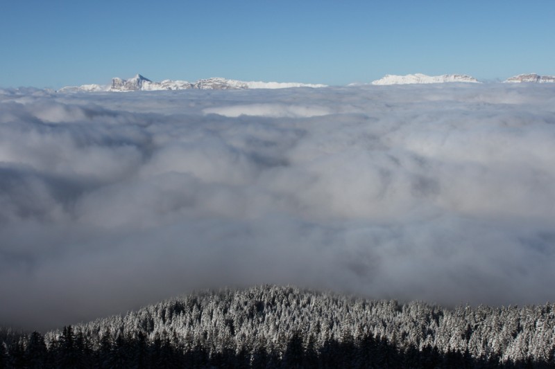 #1 Foret et crasse : La mer de nuage est encore basse... Foret et crasse : La mer de nuage est encore basse...