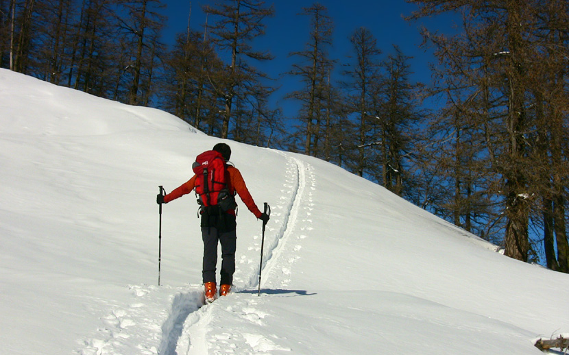 Manteau neigeux épais, trace profonde, merci aux traceurs !  