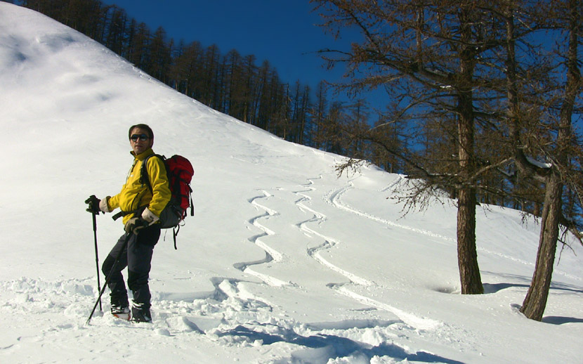 Belle descente sur le crête, en poudre en dessous de 2350m