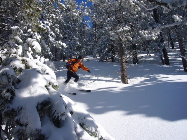 Poudreuse en forêt : Excellente cette dernière descente (photo Santa)