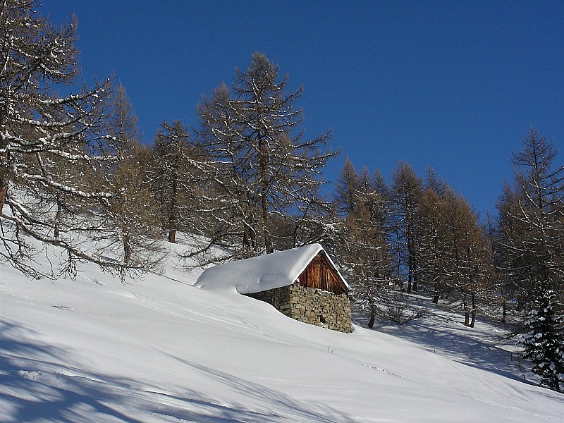 #3 Chalet d Chalet d'alpage : la petite maison dans le bois de meleze