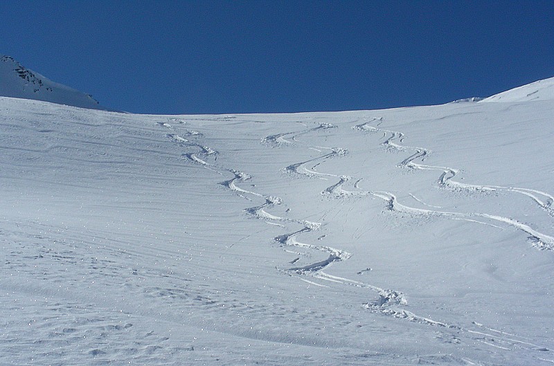 #10 Traces : très bonne neige Traces : très bonne neige