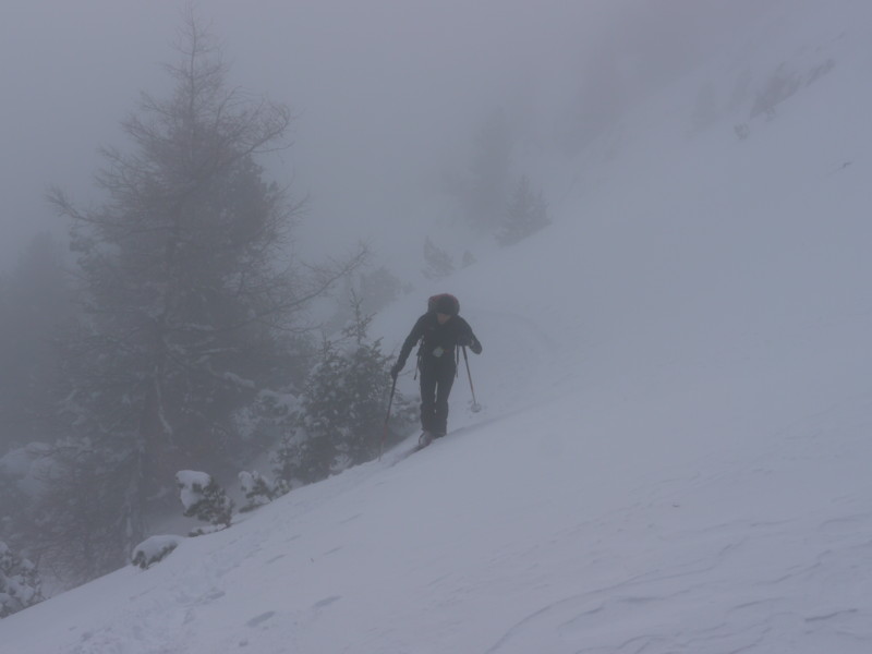 #1 montée versant E : ambiance brouillard montée versant E : ambiance brouillard