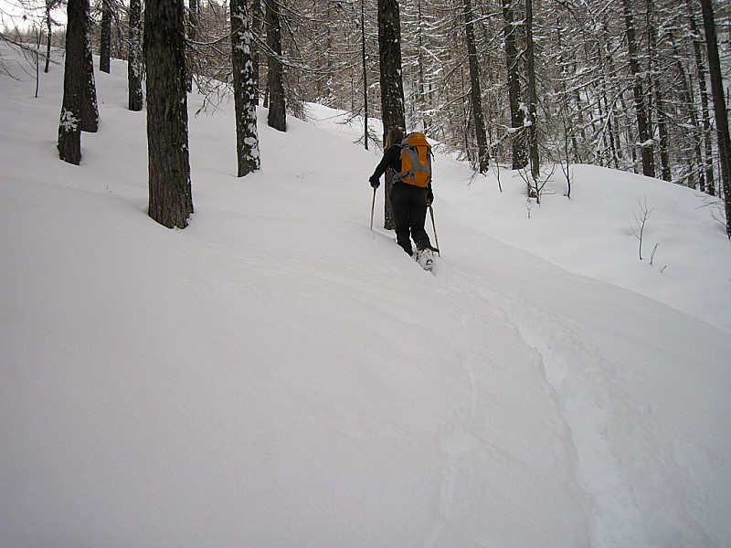 #1 5905 : Colette à la trace, le 09 02 2010
Depuis la base de loisirs 5905 : Colette à la trace, le 09 02 2010
Depuis la base de loisirs
